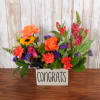 Bright mixed arrangement of orange, pink, purple, and yellow flowers in a rectangular Congrats container