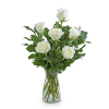 White roses symbolize purity, innocence, and new beginnings. They can both convey