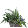Green foliage arrangement in a rectangular wooden planter