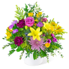 Come to your local flower shop for the freshest and most gorgeous