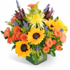 Bright mixed bouquet with sunflowers, orange roses, and purple accents in a square vase