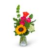 Immerse yourself in a kaleidoscope of vivid blooms with our Vibrant Vibe