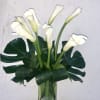 White calla lilies in a clear glass vase with large dark green leaves