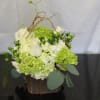 A low and compact arrangement of beautiful green and white flowers such