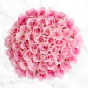 50 Pink Roses Bouquet without a vase