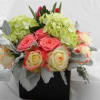 Bouquet of pink and cream roses with green hydrangeas in a black box