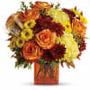 A burst of bright, vibrant hues in a chic tinted cube. A