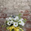 White daisy bouquet in a glass vase with a yellow polka-dot ribbon