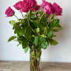Pink roses in a clear glass vase