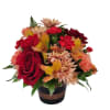 Chrysanthemums, alstromeria, roses and minicarns in fall colors of bronze, red and
