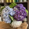 Blue and purple hydrangeas in a patterned ceramic vase