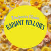 Yellow floral design with assorted blooms and a large circular text area