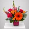 Bouquet of red and orange roses with a bright orange gerbera in a pink vase