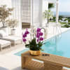 Potted orchids in a gold container beside a pool