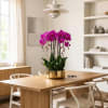 Pink orchid arrangement in a gold pot on a dining table