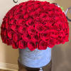 A dramatic dome of 100 red roses forms a flawless canopy of
