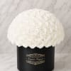 White rose dome in a black round box