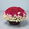 Elevate your flower gift with a basket of 250 premium roses!