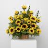 This stunning arrangement  sunflowers will express your sympathy lovingly and tastefully.