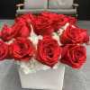 Red roses arranged in a white square vase with white hydrangeas