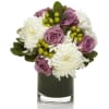 A classic mix of white mums, purple roses and green berries accented