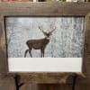 Framed winter scene of a deer standing in snow