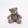 Gray teddy bear with a checkered ribbon sitting on a white background