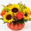 Sunflower and rose arrangement in a pumpkin-shaped container