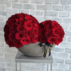 Beautifully crafted and arranged, combination of 75 two types of red roses