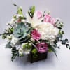 14"H x 14"W