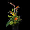 Tropical flower arrangement with orange bird-of-paradise and anthuriums in a dark vase