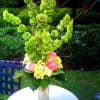 Tall floral arrangement with green orchids and pink roses in a glass vase