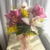 Cymbidiums are an orchid with many wonderful attributes: tropical beauty, long-lasting, and