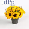 Local Colorado grown Sunflowers tastefully arranged with&nbsp; Kiwi vine. This is a