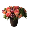 Peach and coral roses with protea in a dark vase