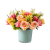 Spring is here , Tulips , Hyacinth , garden roses . Some