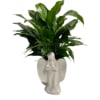 Potted green plant in a white angel-shaped container