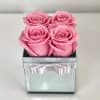 Four pink roses in a square glass box with a white ribbon