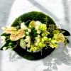 Green and white floral arrangement with anthuriums and roses on a moss base