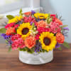 Bright mixed bouquet with sunflowers and roses in a white hat box