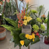 Tropical floral arrangement with yellow roses and green blooms in a wooden box