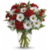 Red carnations and white daisies in a clear glass vase