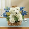 White flower teddy bear in a wicker basket with blue flowers
