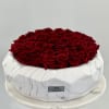 Preserved red roses 