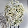 Funeral with white roses, white spray roses and orchids on the top