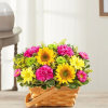 Basket of yellow sunflowers, pink carnations, and daisies