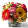 Colorful mixed bouquet in a clear square glass vase