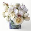 White and cream roses, carnations, tulips, and orchids in a clear glass cube vase with a small butterfly.