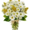 Bouquet of white daisies and yellow flowers in a clear glass vase