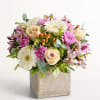 All the beauty of a cottage garden in one rustic yet